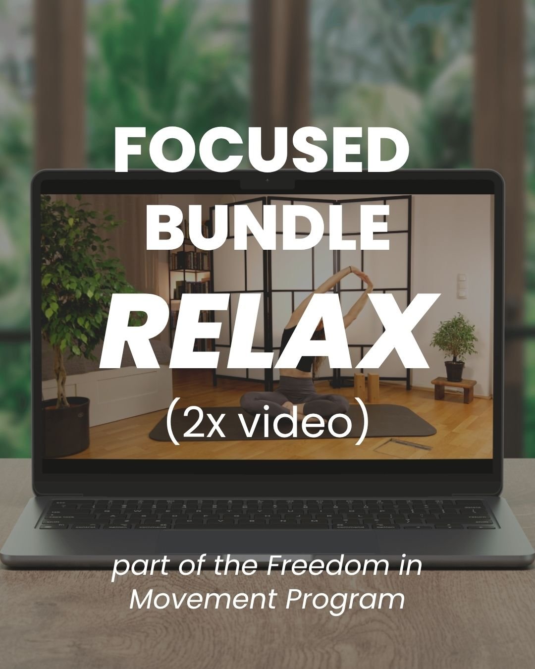 Focused Bundle A - Release & Recovery - Payhip
