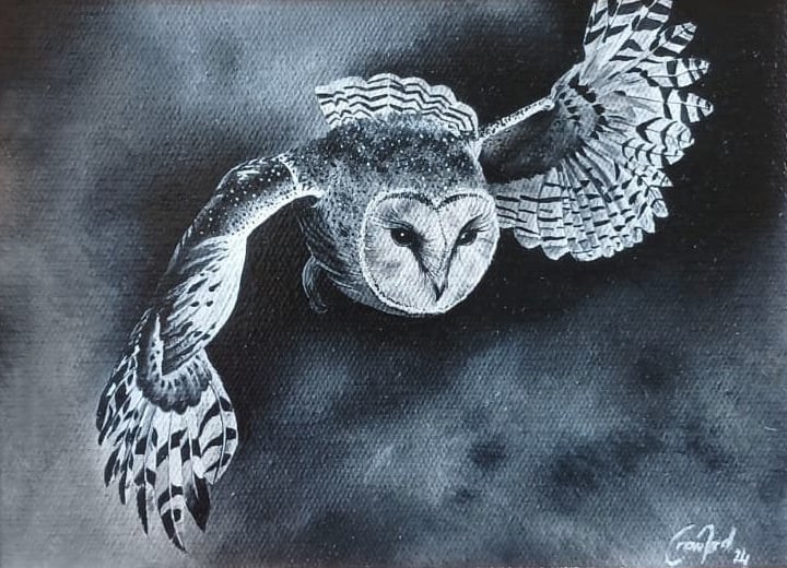 owl, owl rescue centre, owl art, interior design, oil painting, wild life art, paintings, art, trending, unique art, Cindy Crawford, fine art painting