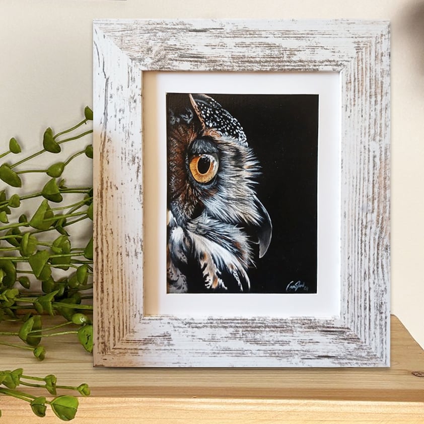 owl, owl rescue centre, owl art, interior design, oil painting, wild life art, paintings, art, trending, unique art, Cindy Crawford, fine art painting