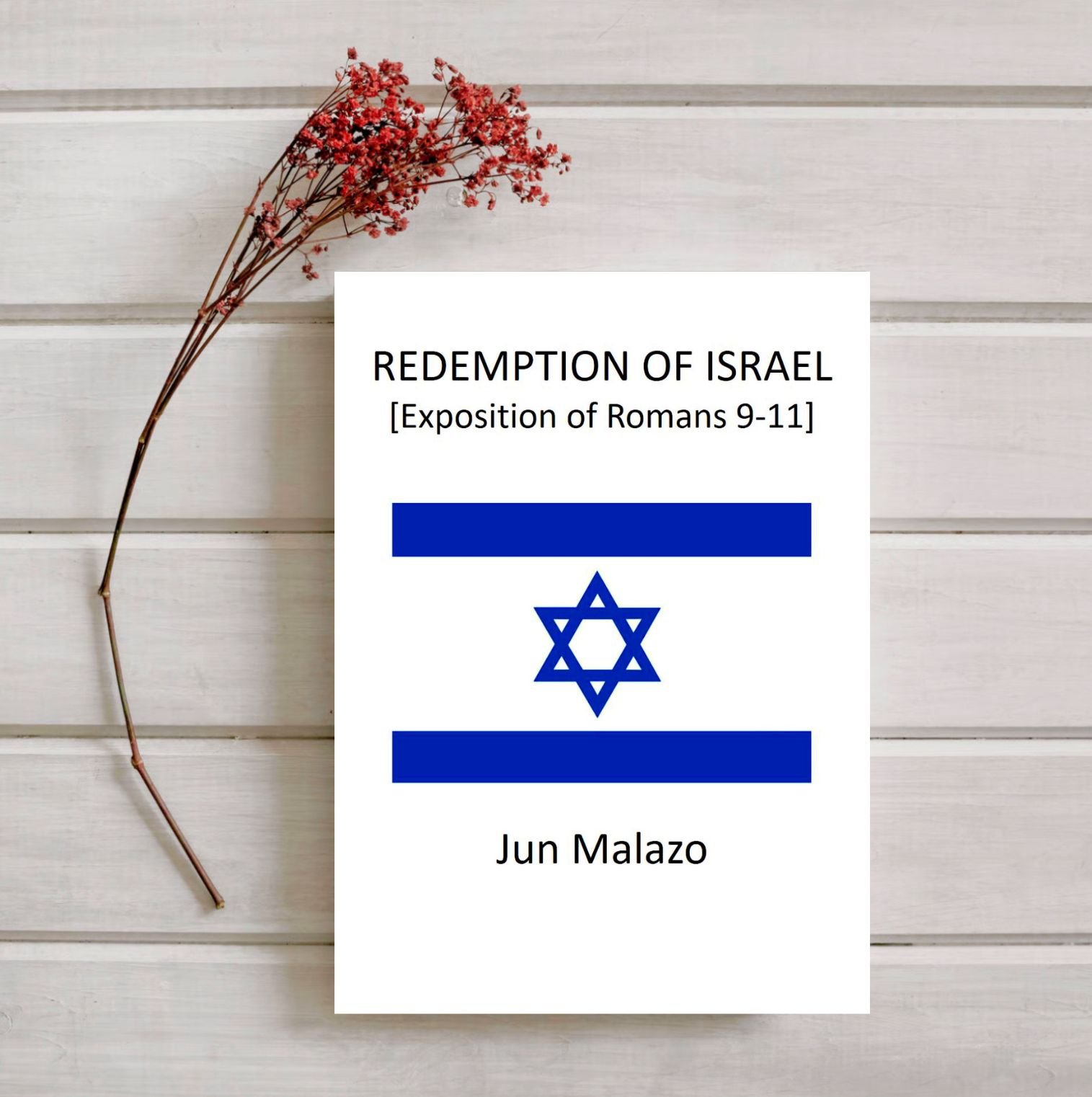 REDEMPTION OF ISRAEL (EXPOSITION OF ROMANS 9-11) - Payhip