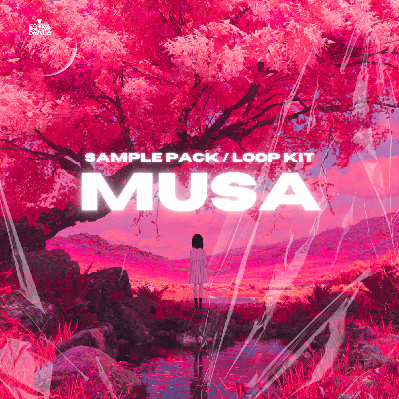 Musa Sample Pack / Drum Loop Kit 2025 - Payhip