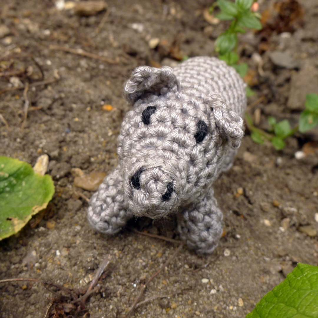A grey crochet pig on some earth made in cotton yarn.