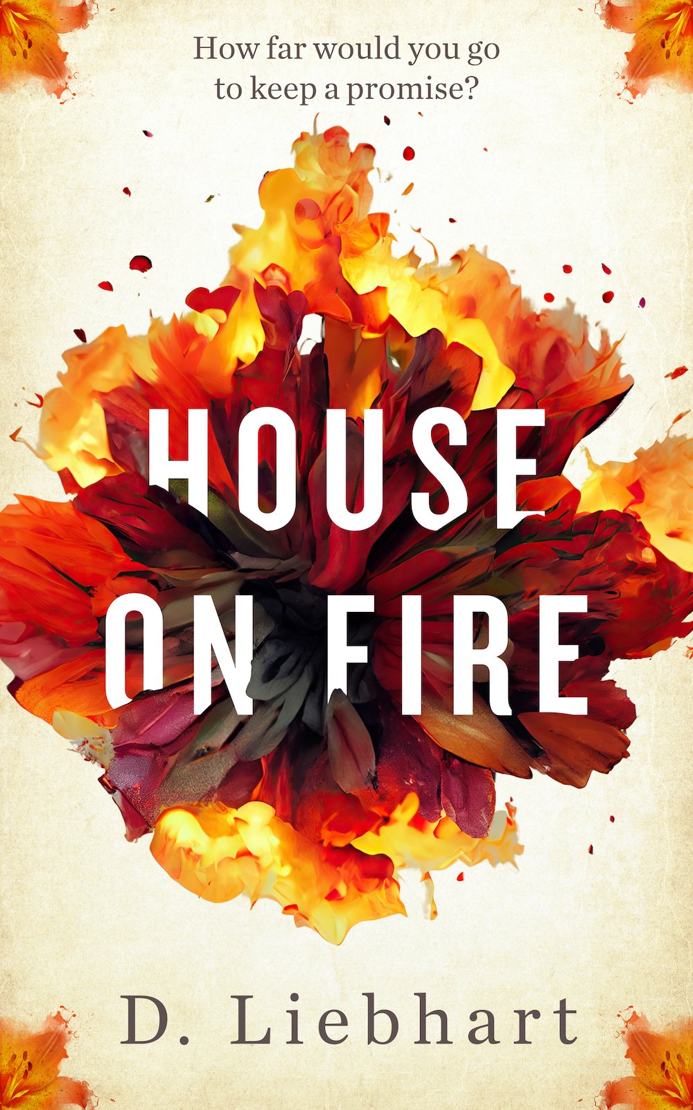 Novel Cover for House on Fire by D. Liebhart