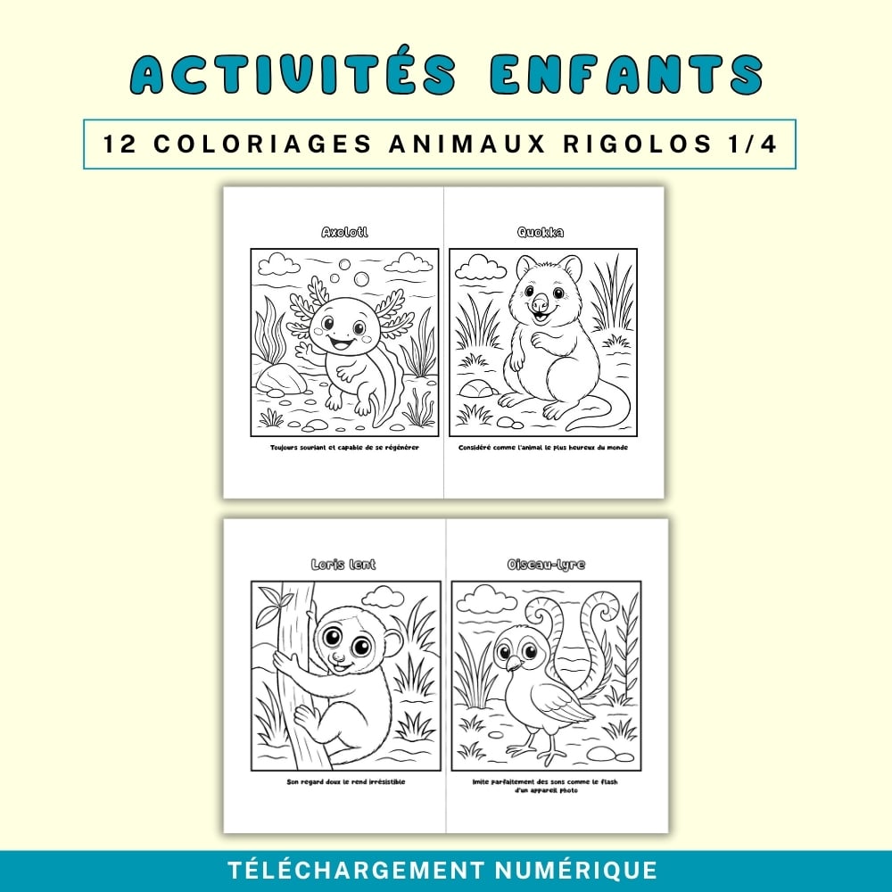 Coloriages Enfants JW- Animaux Rigolos de la Création (PDF A4)