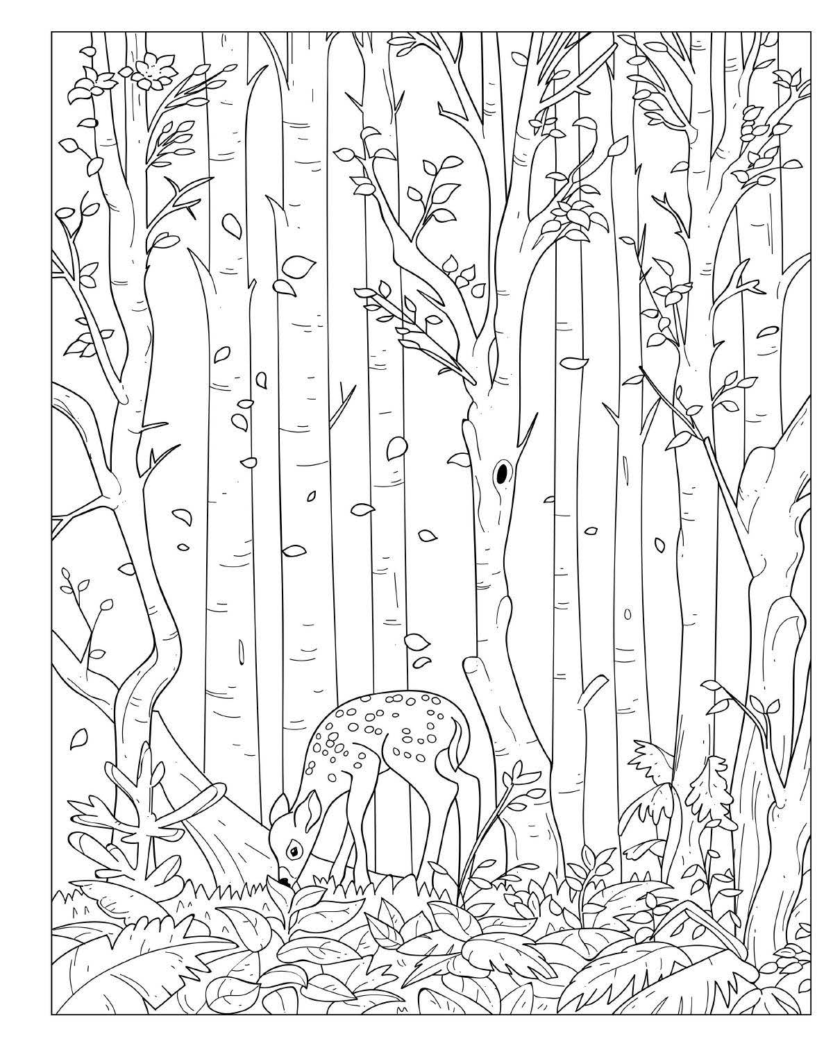 Baby Animals Coloring book