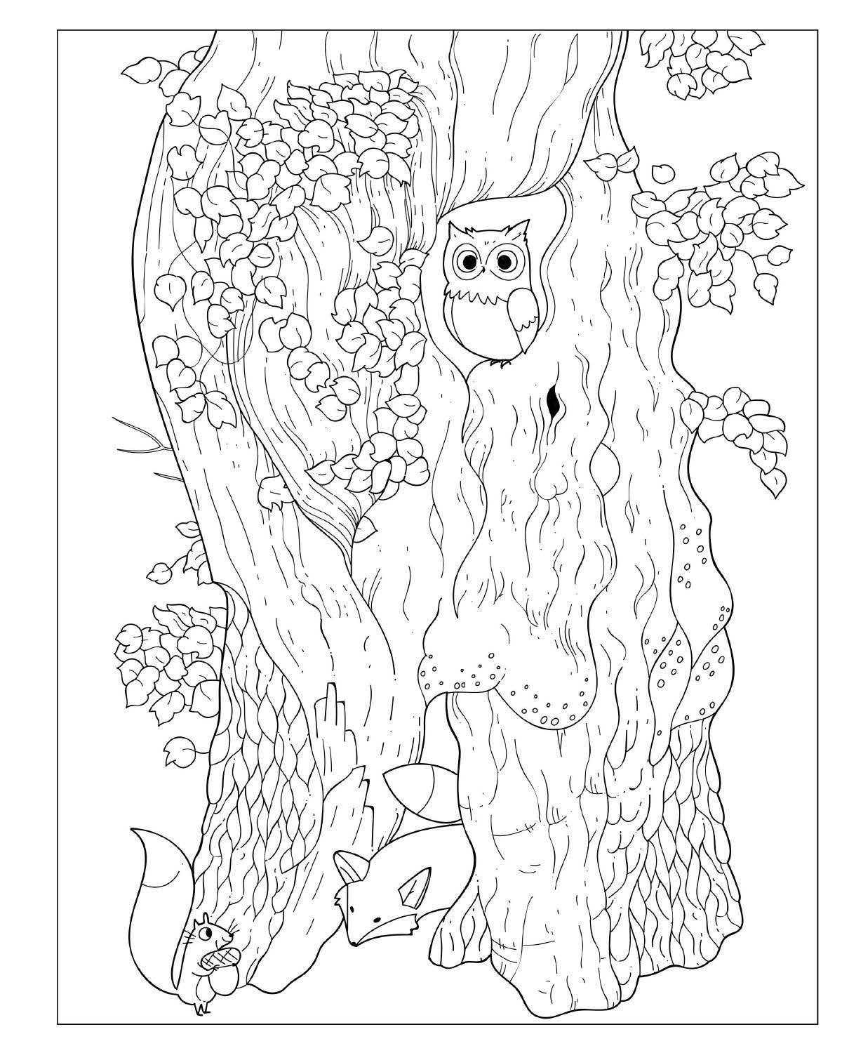 Baby Animals Coloring book