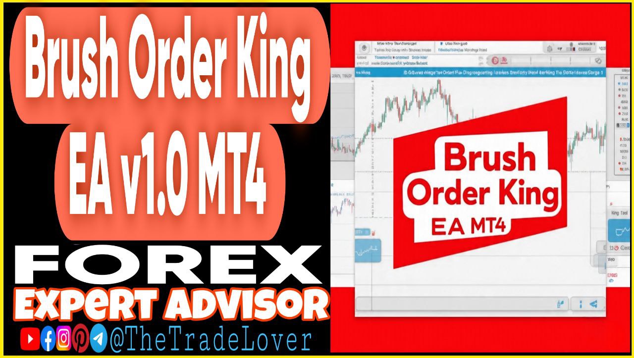 Brush Order King EA v1.0 MT4 (Works on Build 1441 ) | Forex Robot | MT4 Expert Advisor