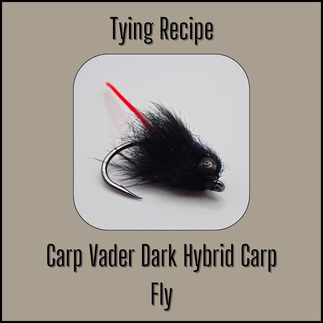 Close-up of the Carp Vader Dark Hybrid carp fly displayed for its fly tying recipe.