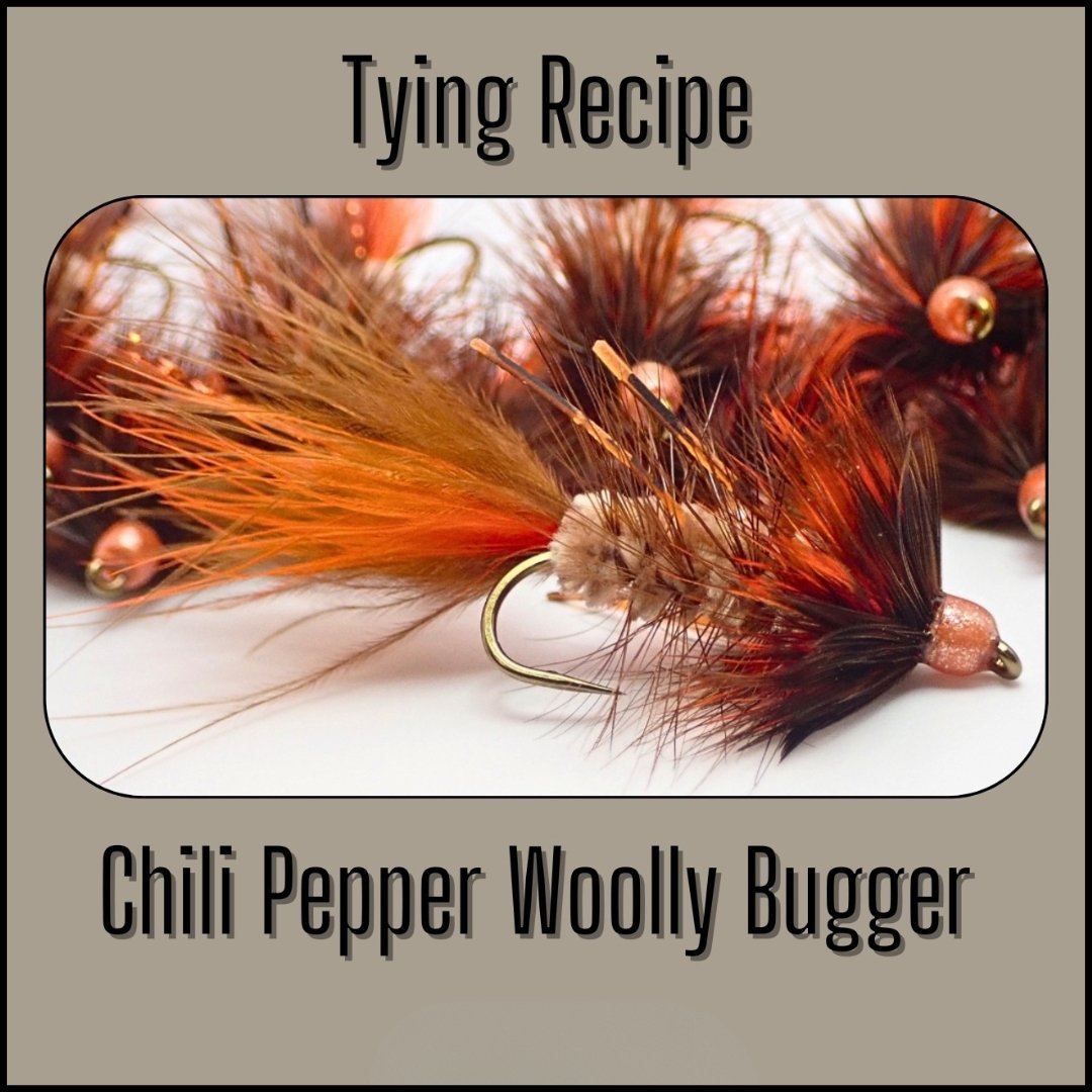 Close-up of a small group of Chili Pepper Woolly Bugger flies displayed for its fly tying recipe.