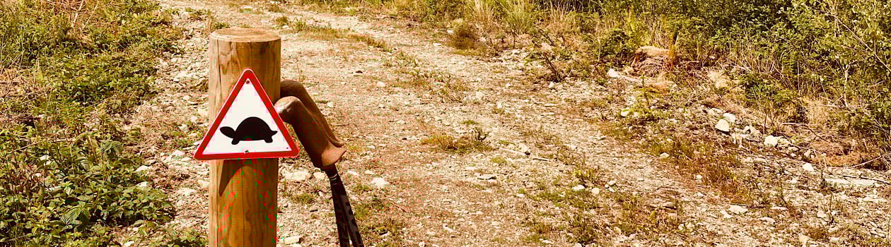 Walking like a tortoise in Coed y Brenin