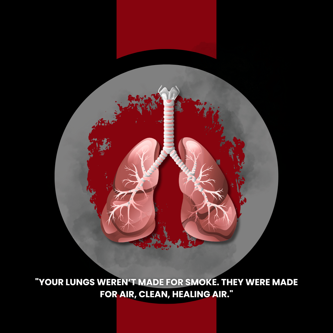 Start Living Stop Smoking - Payhip
