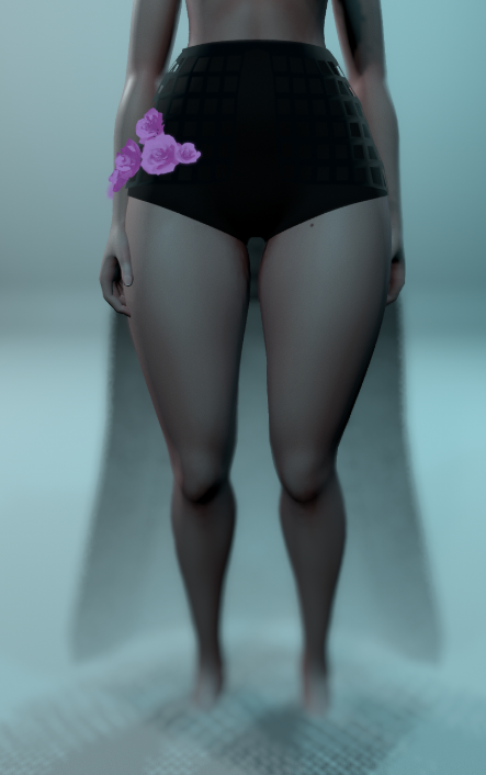 rose cage skirt (nitro free )
