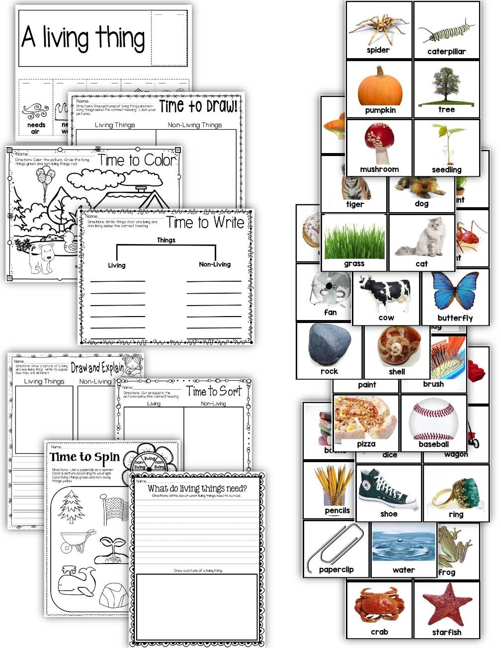 Living and Non-Living Things