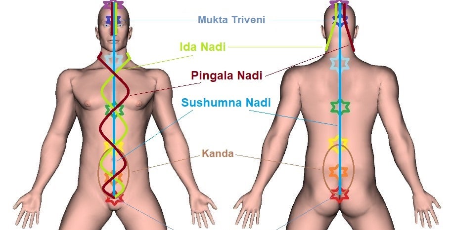 Three Primary Nadis - Sushumna, Ida, and Pingala