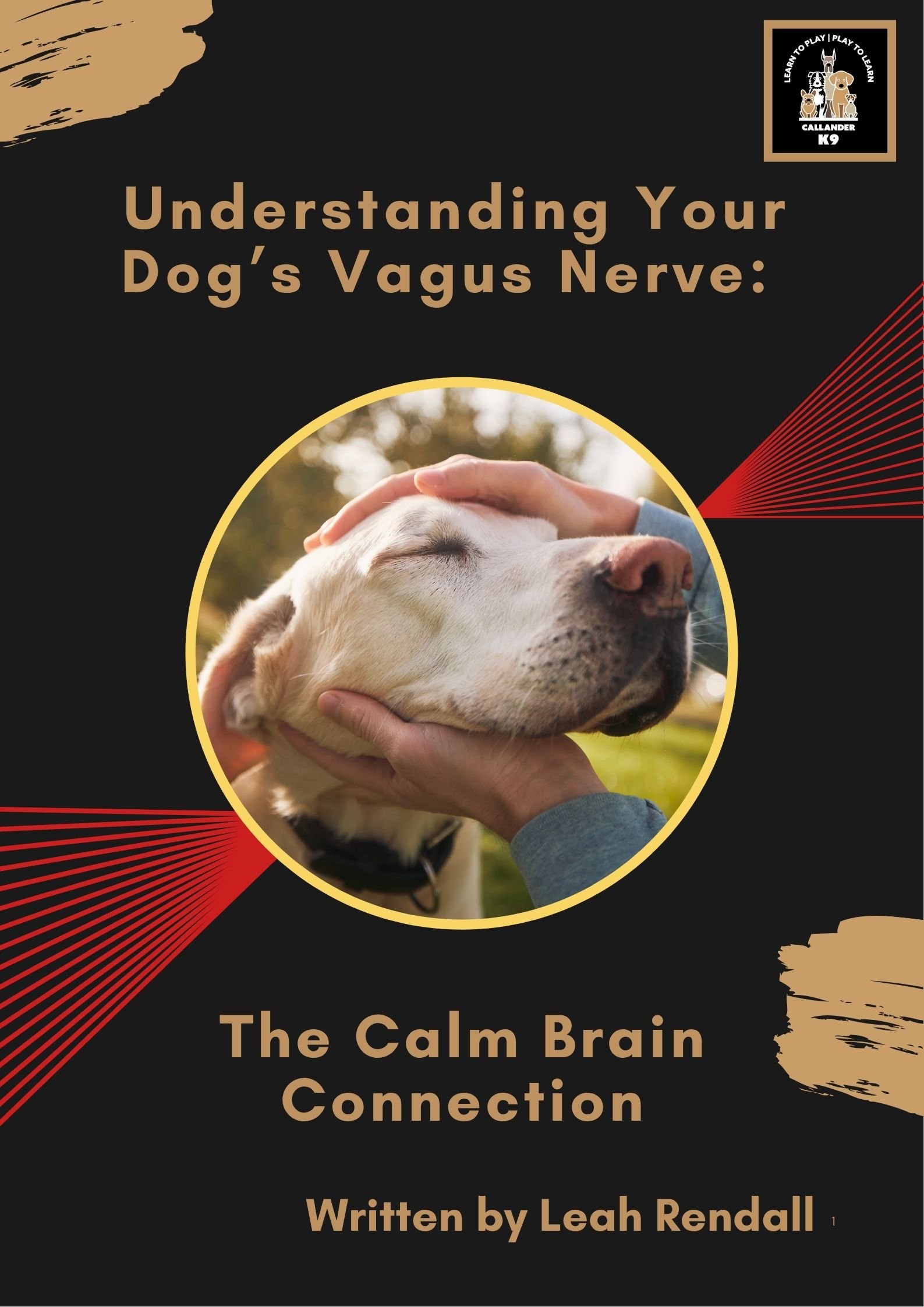 Understanding Your Dog’s Vagus Nerve The Calm Brain Connection Payhip