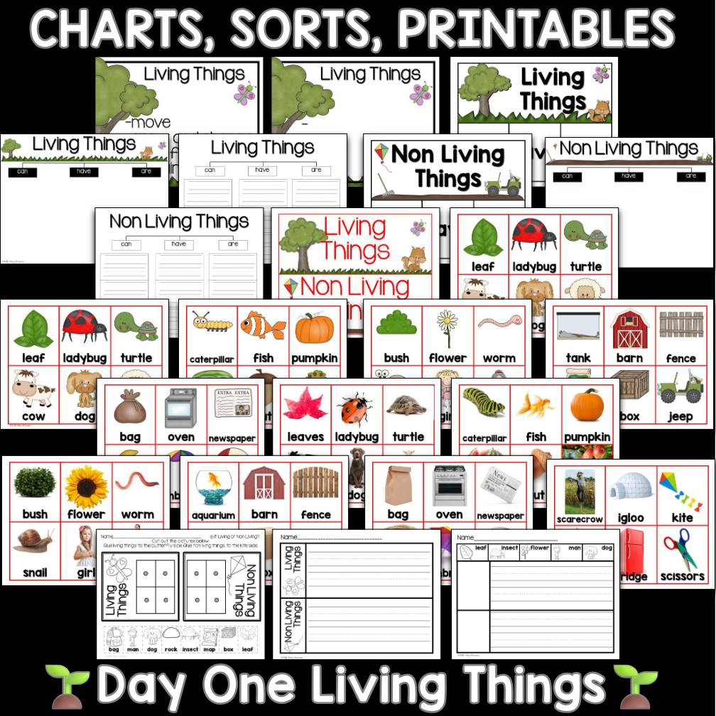 Living and Nonliving Things Living Science Unit  Kindergarten and First Grade