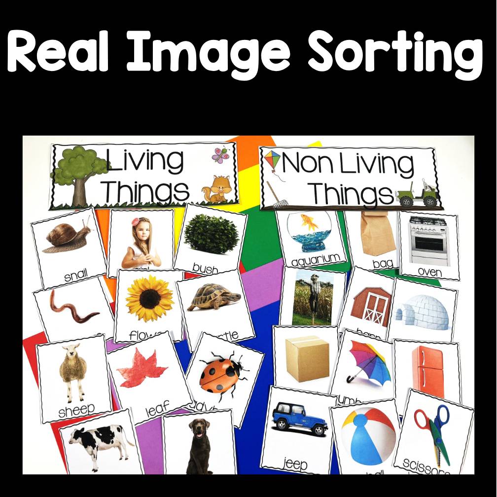 Living and Nonliving Things Living Science Unit  Kindergarten and First Grade