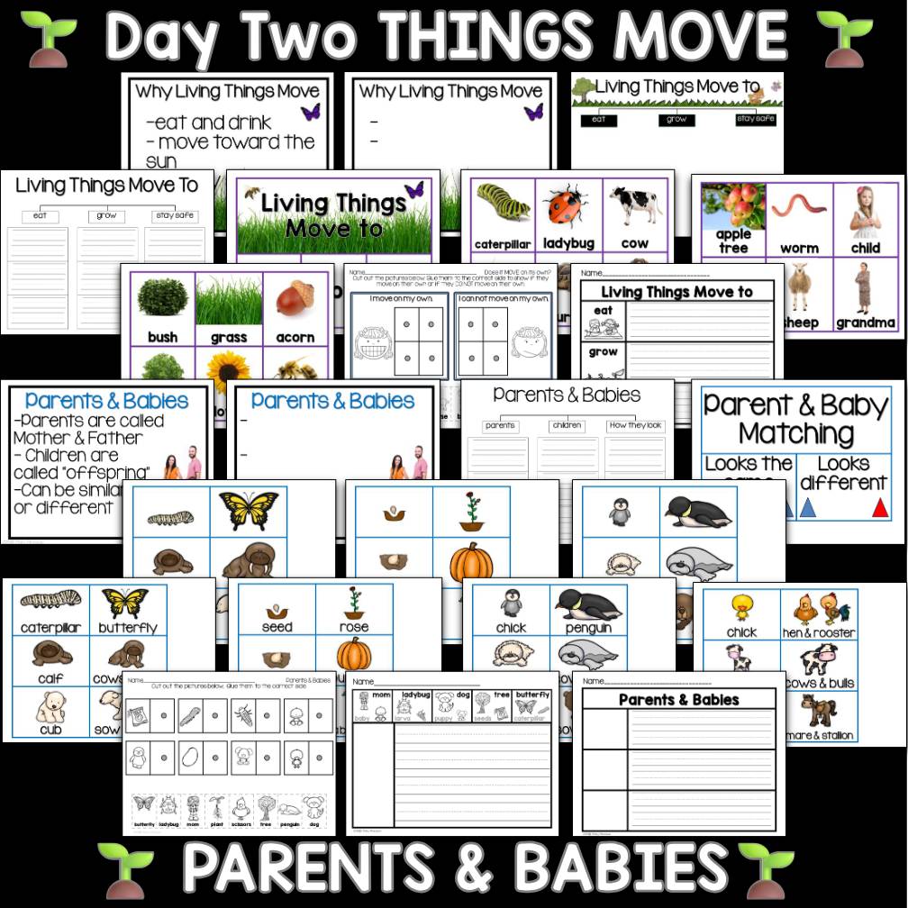 Living and Nonliving Things Living Science Unit  Kindergarten and First Grade