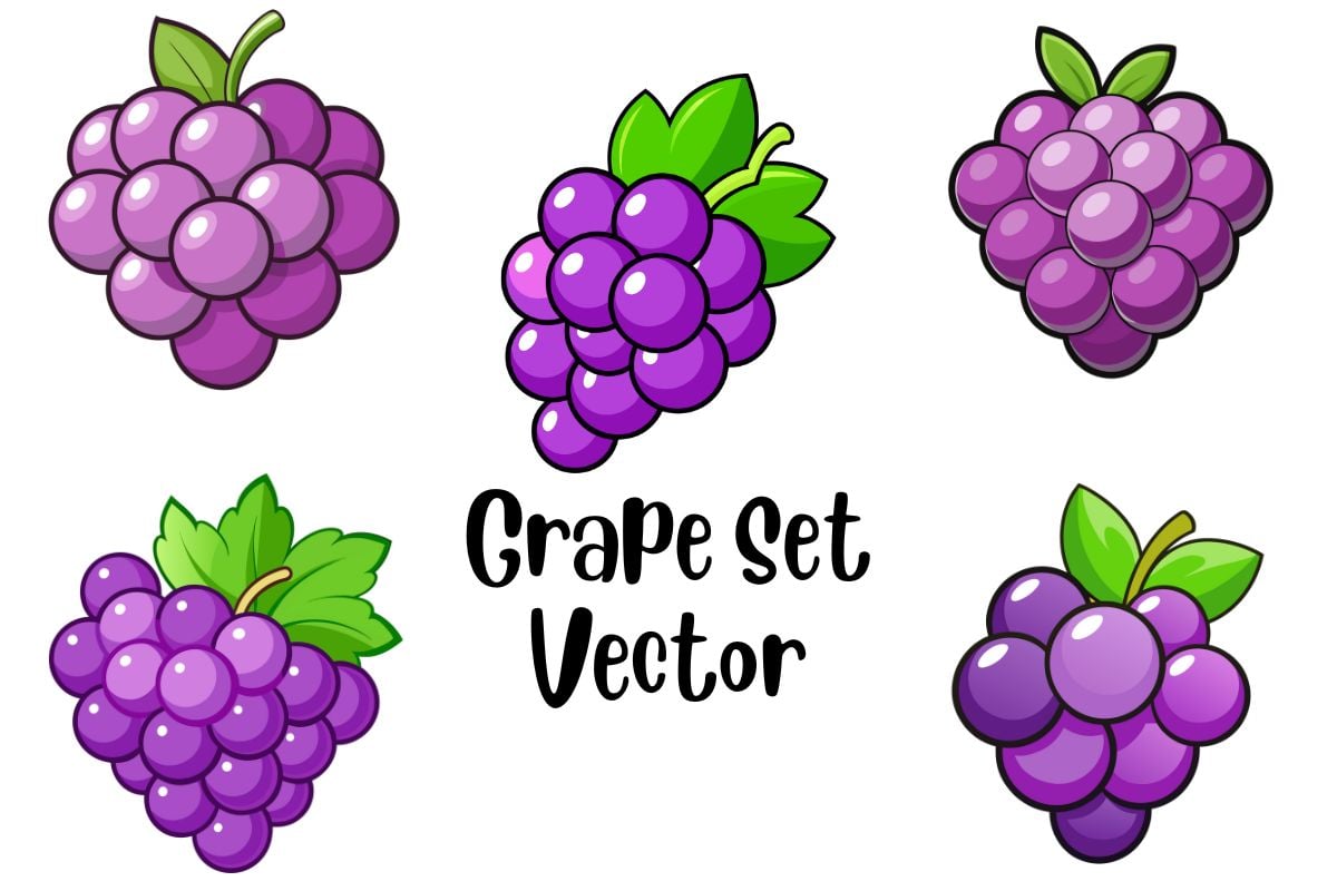 Grape Set Vector - Payhip
