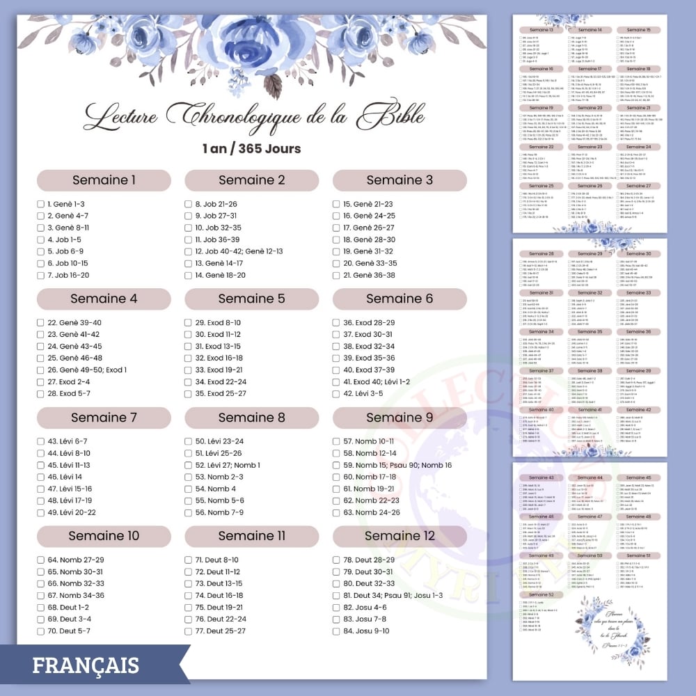 plan de lecture chronologique de la bible en 1 an pdf