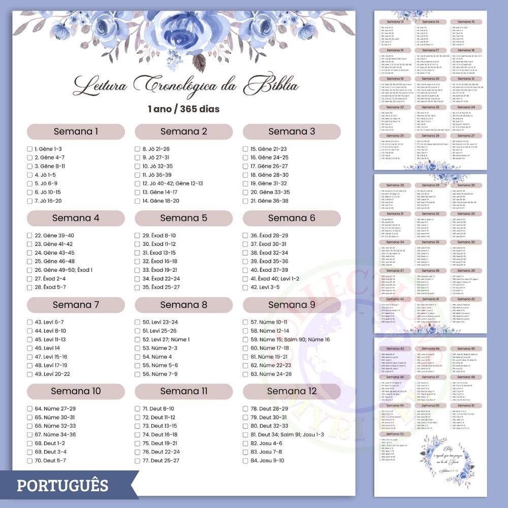 plano de leitura cronológica da bíblia em 1 ano