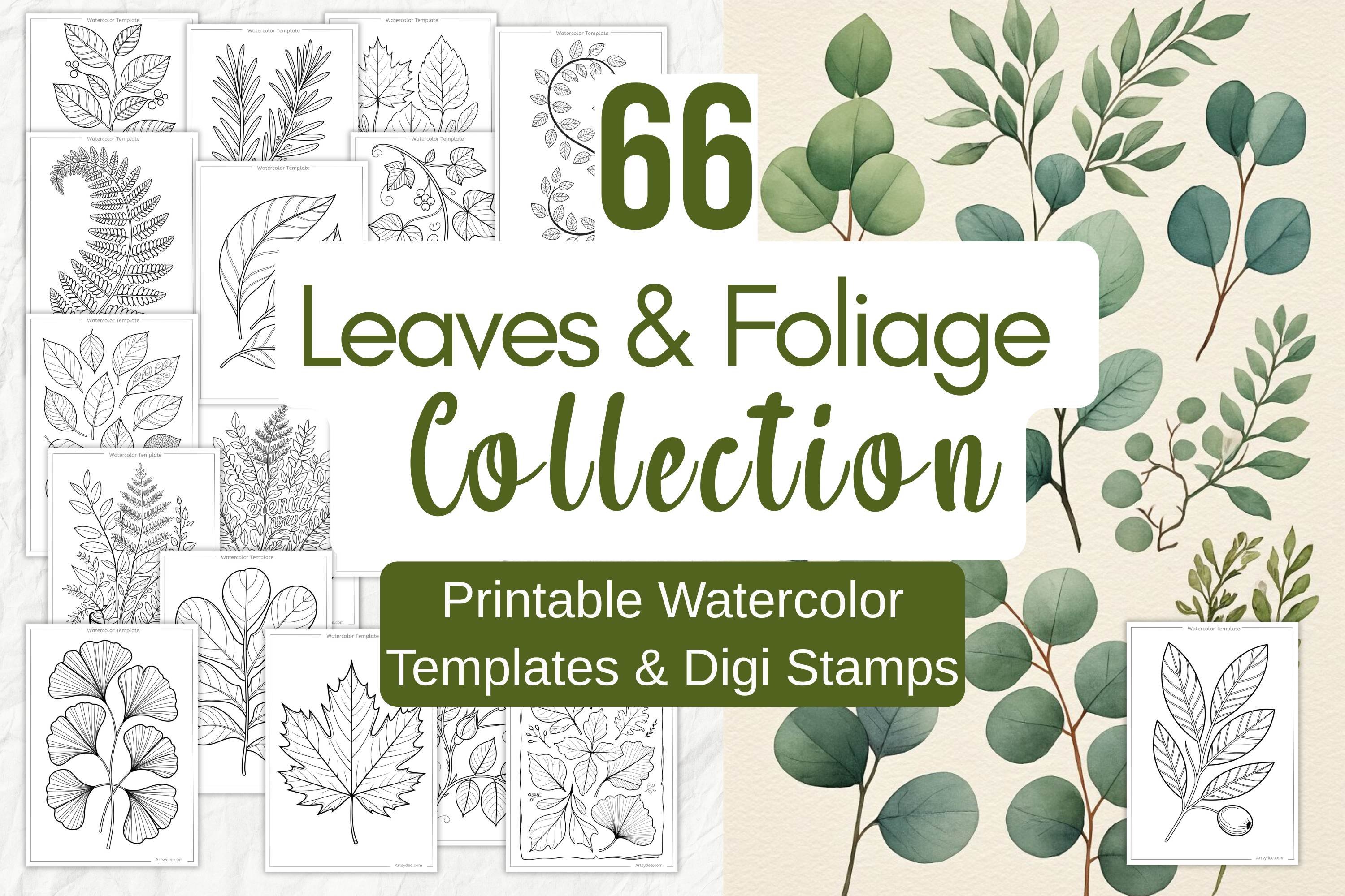 Leaves & Foliage Digital Stamps & Watercolor Outlines
