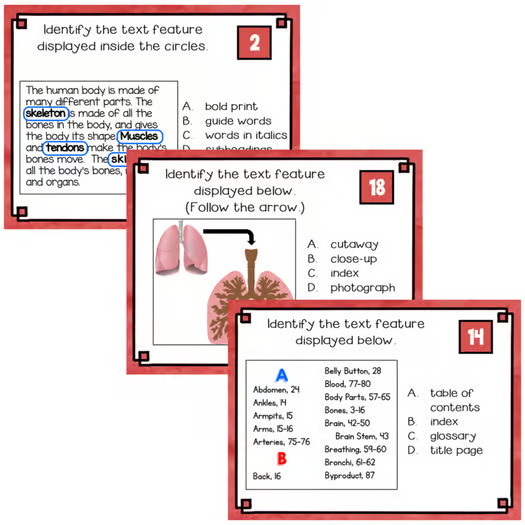 Nonfiction Text Features: Task Cards in Printable and Digital Formats