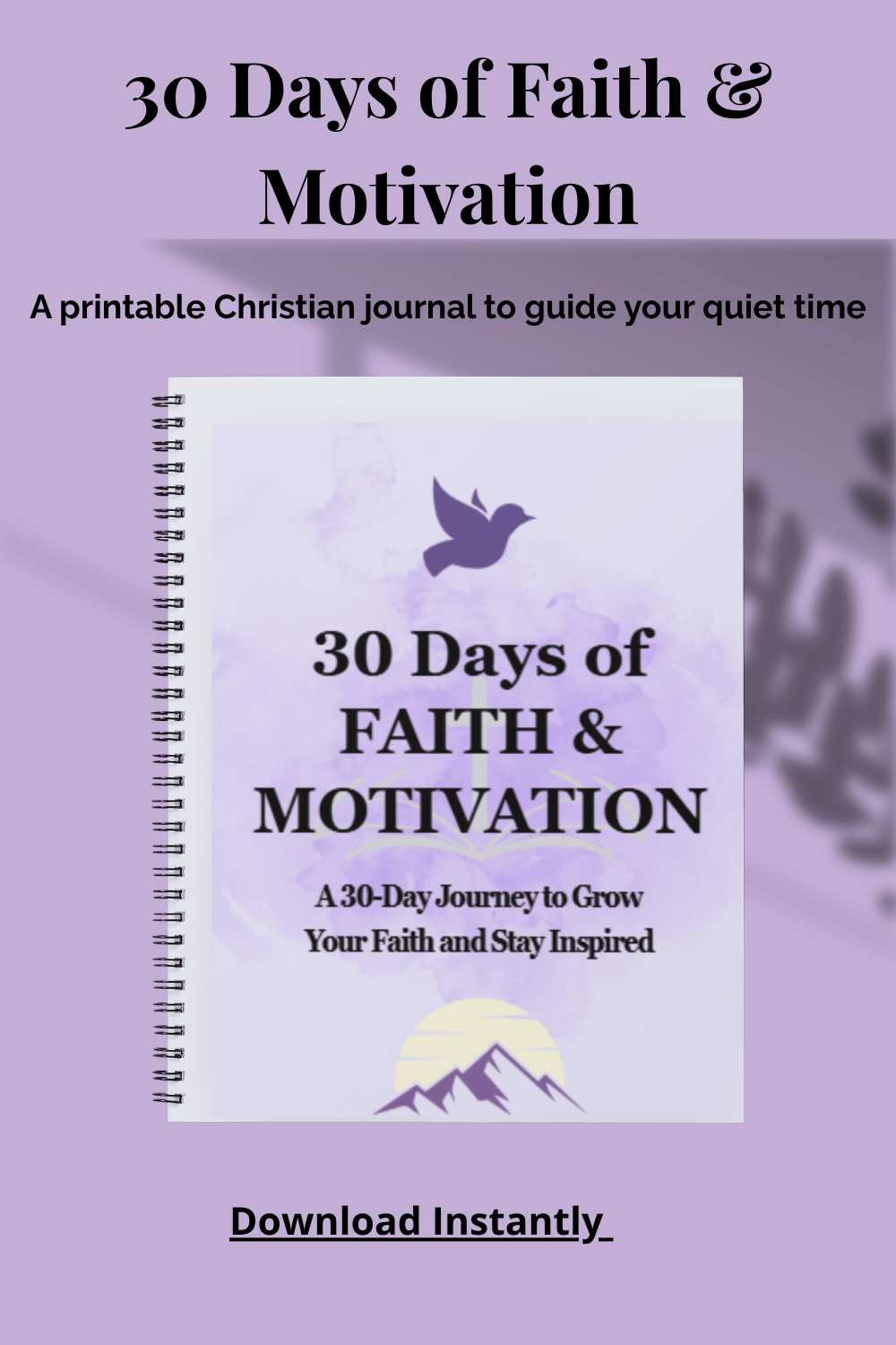 Christian Reset Journal