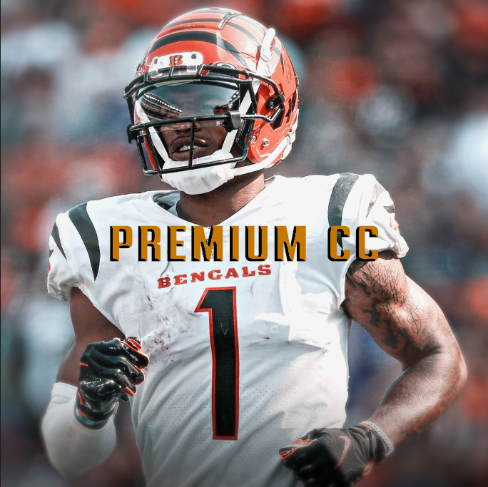 CC Pack 1 - Payhip