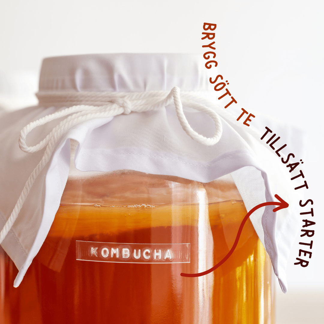 hemmabryggd kombucha