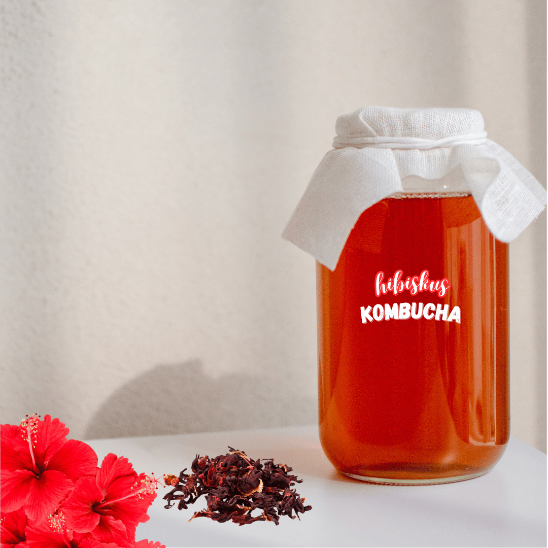 hibiskus kombucha