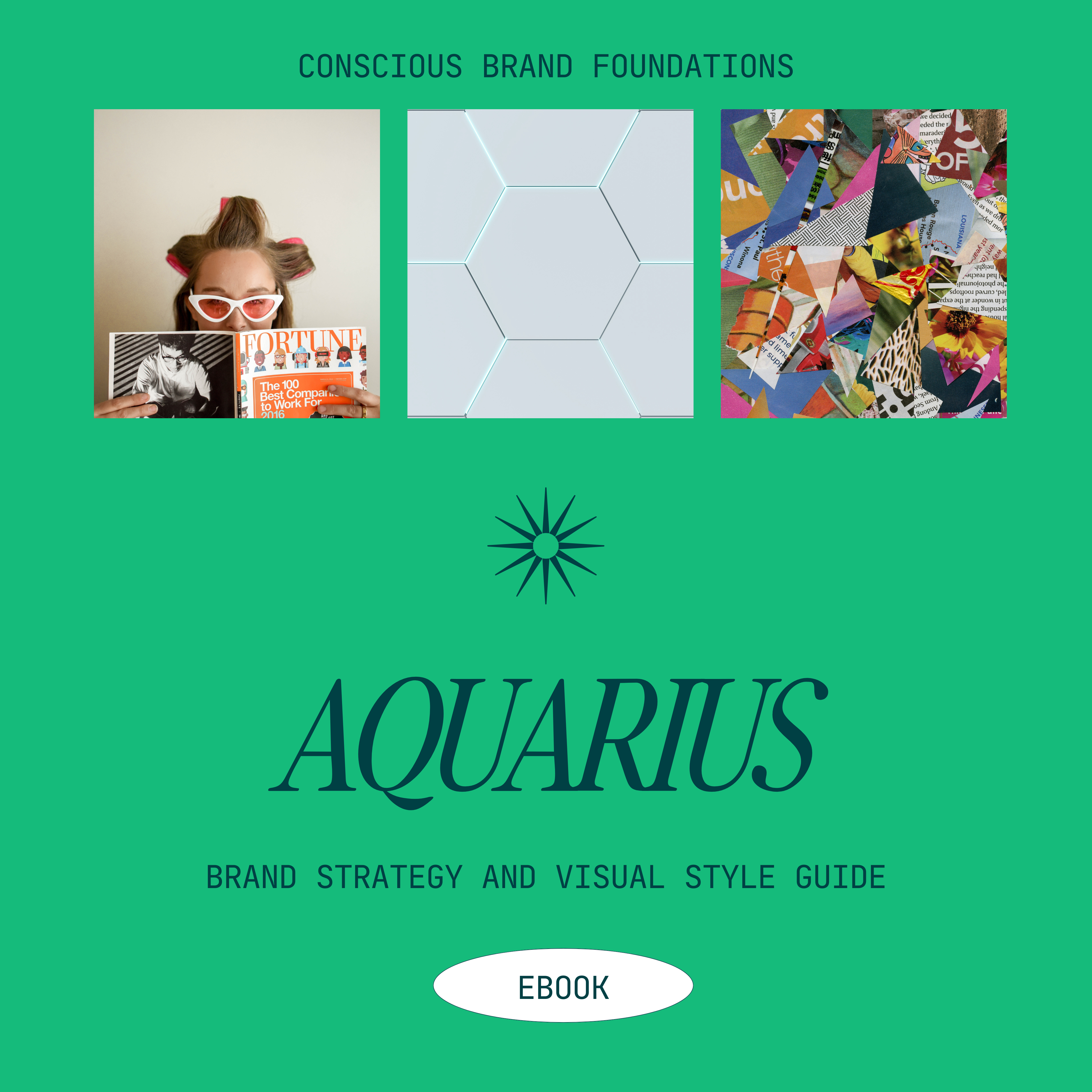 Aquarius Brand Style & Strategy E-Book - Payhip