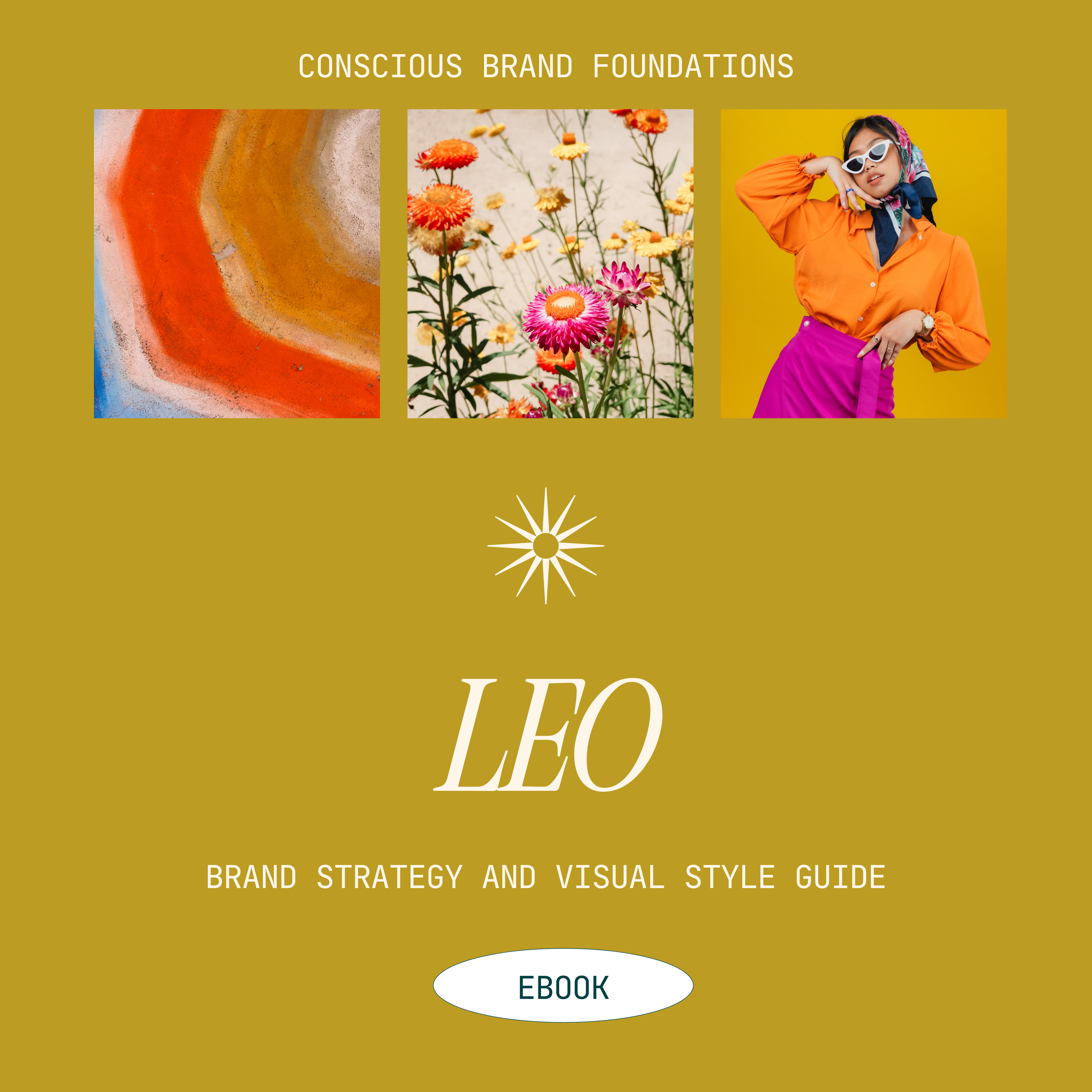Leo Brand Style & Strategy E-Book - Payhip