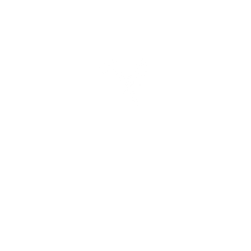 E.S. Luck Author Shop