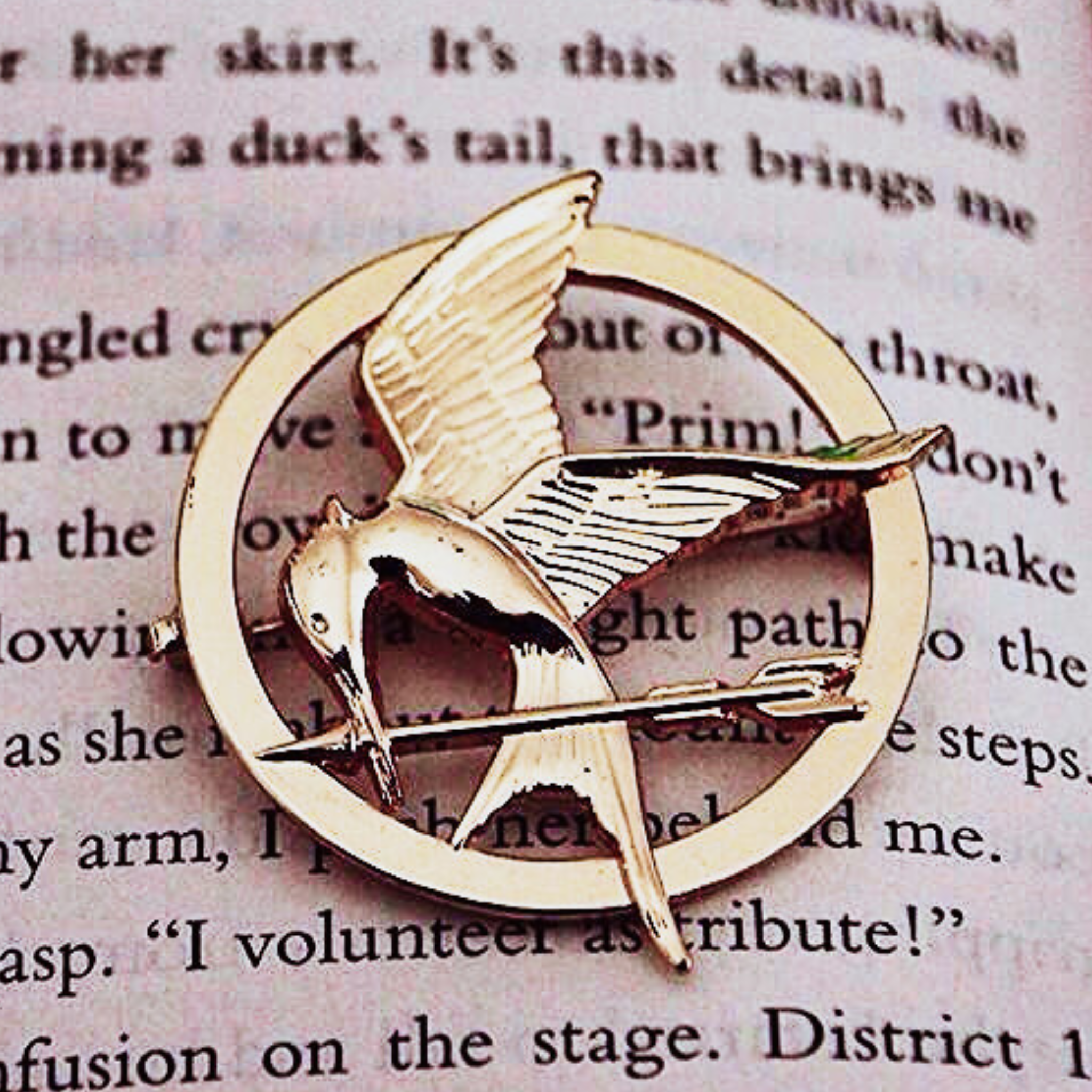 Mockingjay Keychains MOCKINGJAY BUNDLE - Payhip