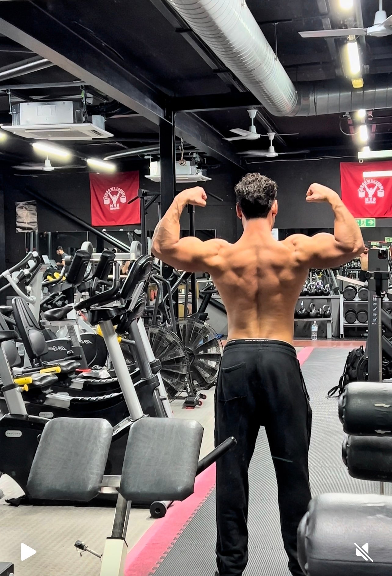 Training program 6 day split 2 Rest day - Payhip