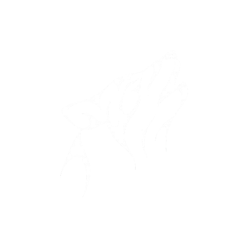 A white Tiger Logo. DRVN