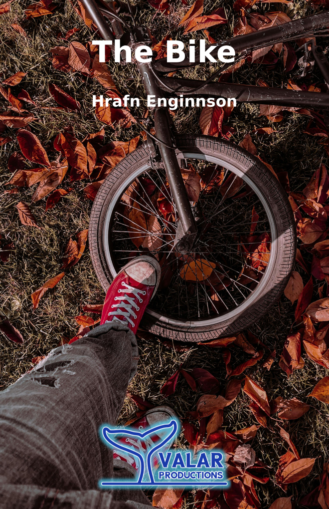 The Bike cover image