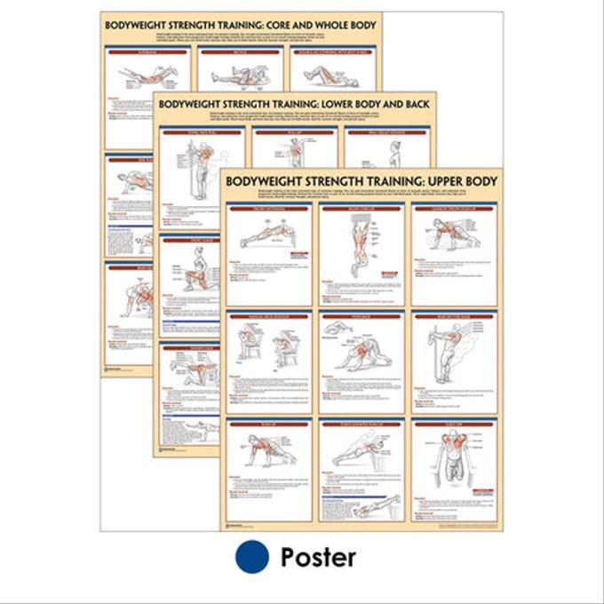 Bodyweight Strength Training Anatomy | Bret Contreras