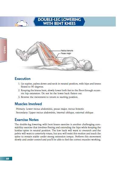 Bodyweight Strength Training Anatomy | Bret Contreras