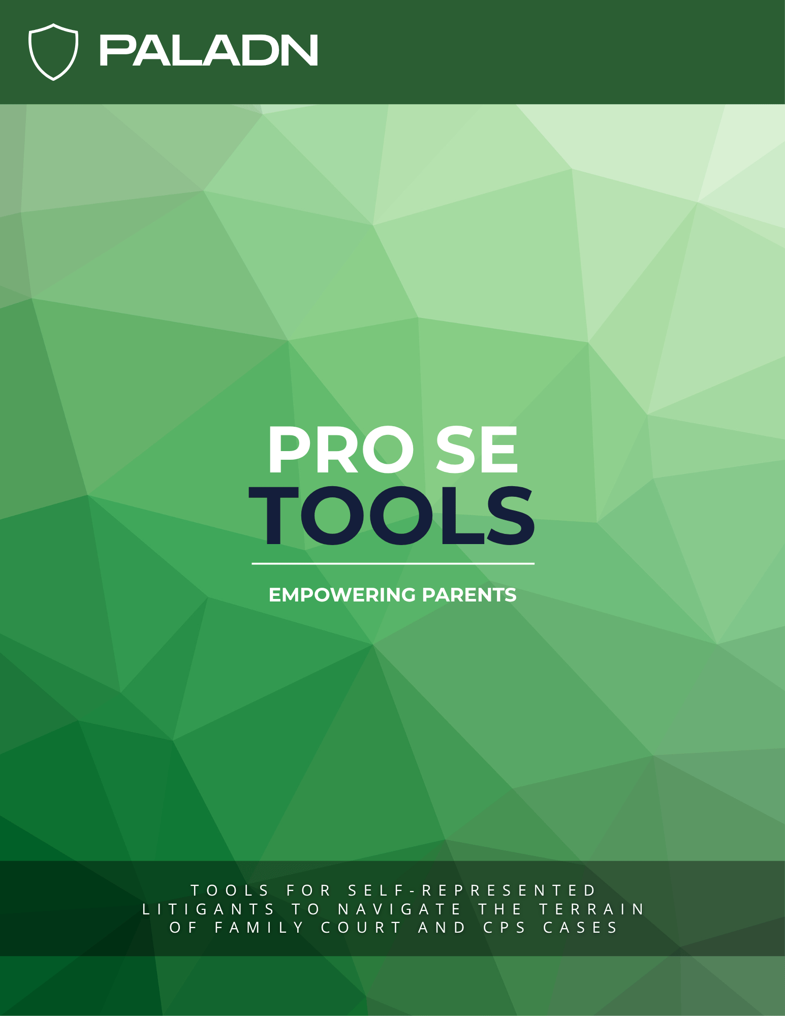Pro Se Toolkit - Payhip