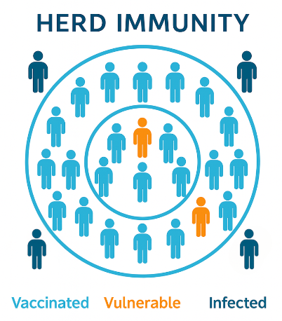 herd immunity vce biology