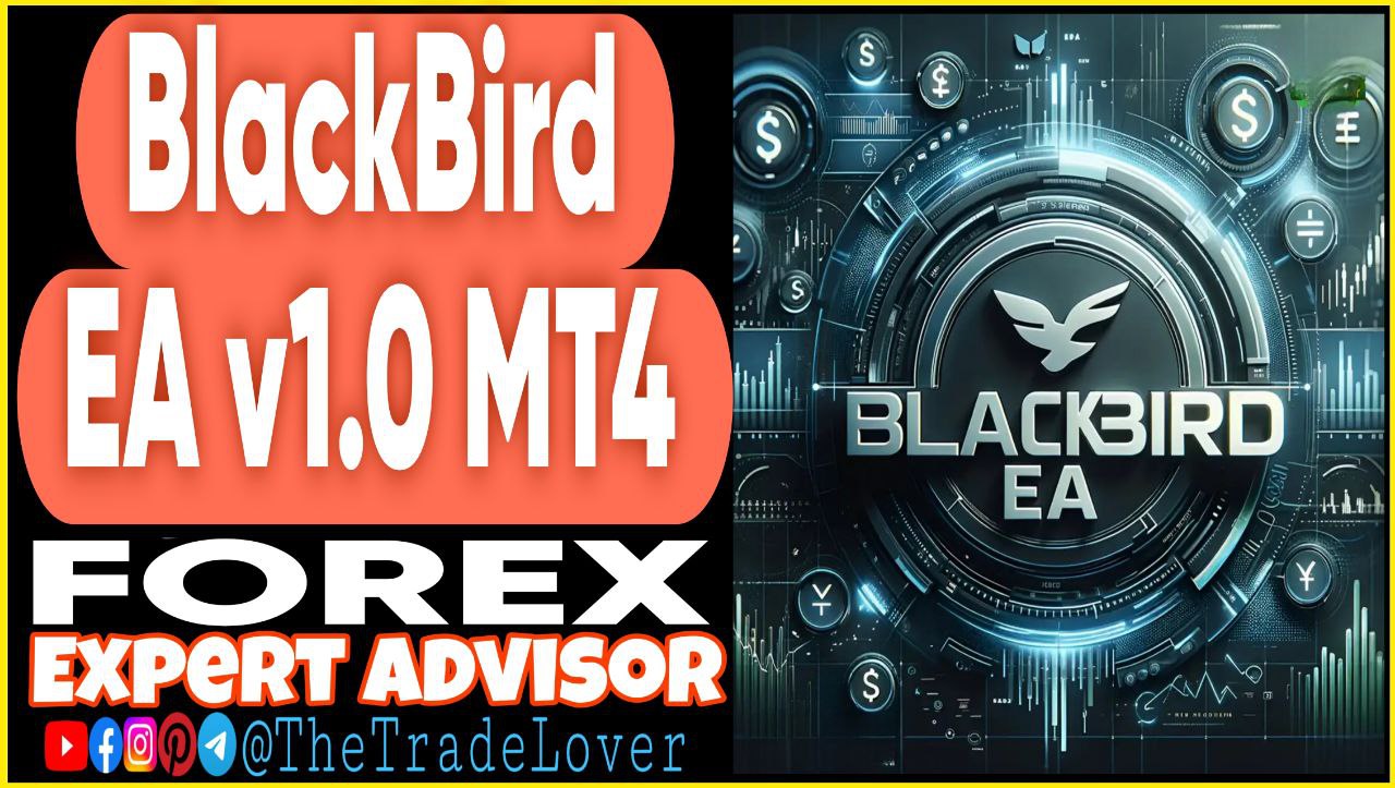 BlackBird EA v1.0 MT4 Presets (Works on Build 1441 ) | Forex Robot | MT4 Expert Advisor