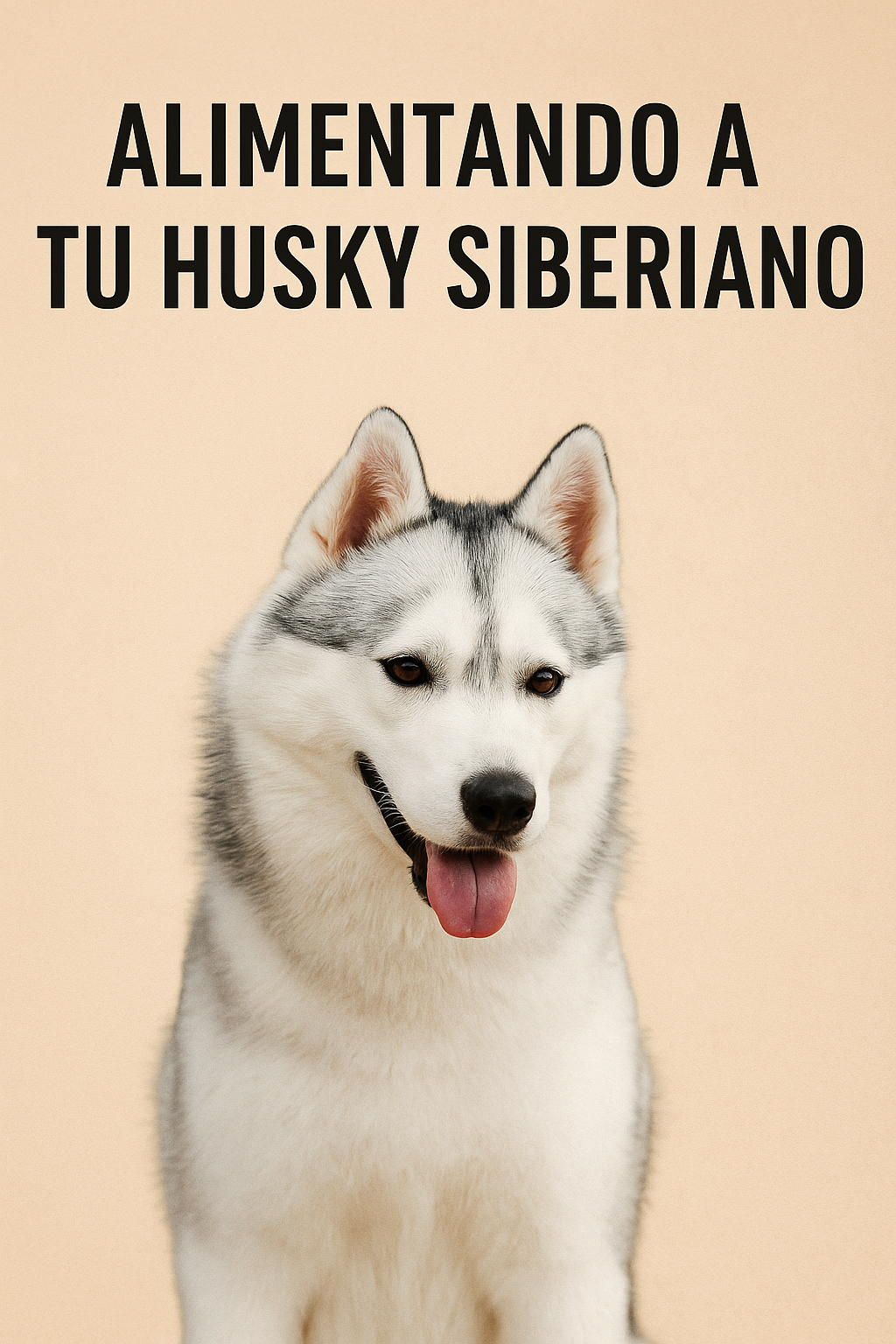 Guía práctica extra