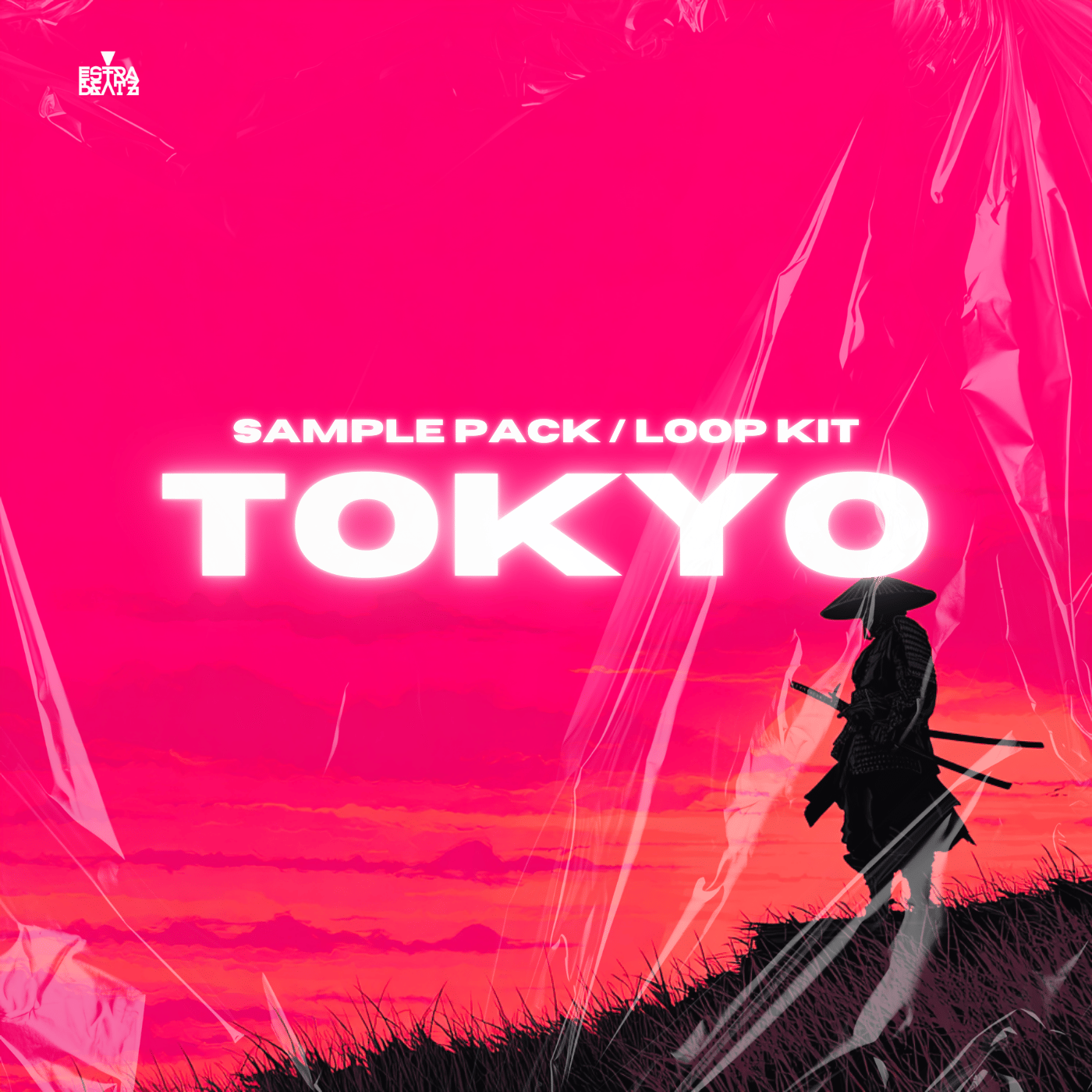 Tokyo Sample Pack / Loop Kit 2025 - Payhip