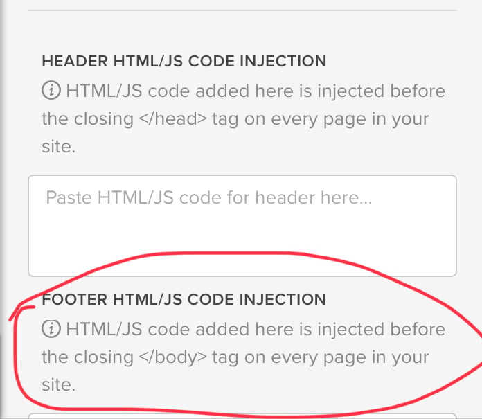 Payhip CSS Code Injection Screenshot
