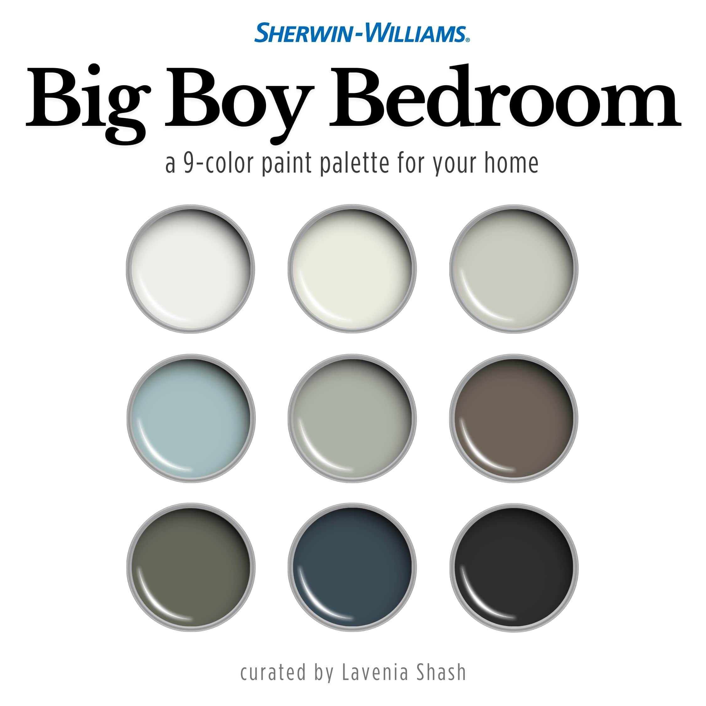 Boy and Teen Bedroom Color Palette: Sherwin Williams Paint Palette For ...