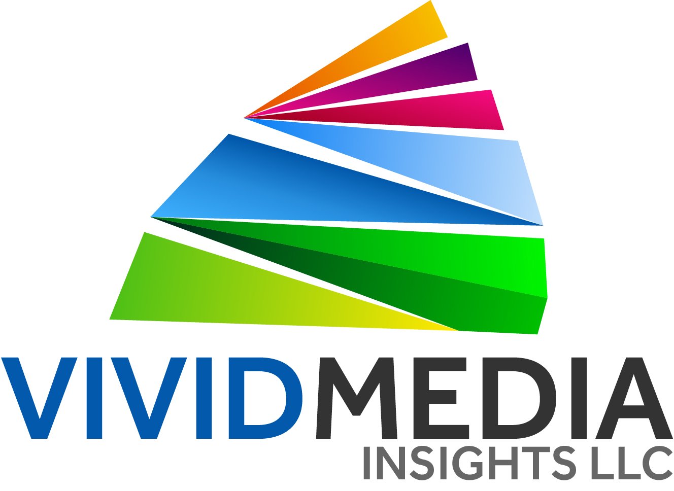 Vivid Media Insights LLC. - Payhip