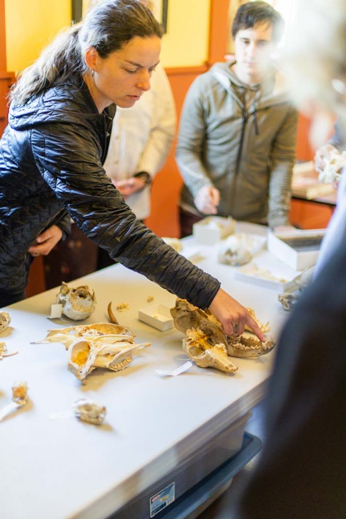 Nyn teaching about skulls