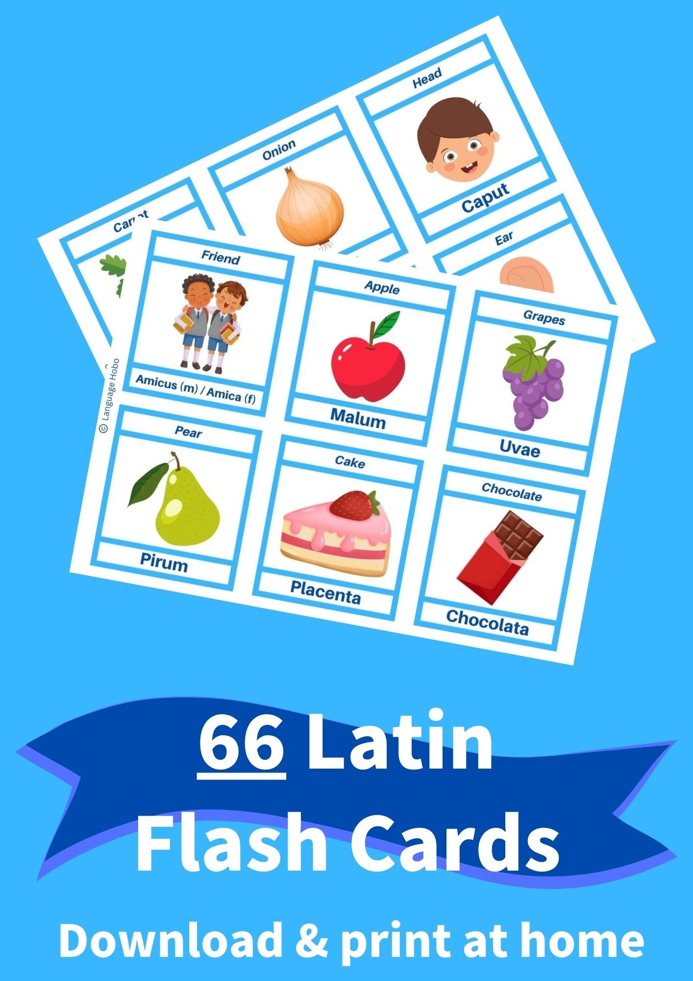 Printable LATIN Flashcards [PDF DOWNLOAD] - Payhip